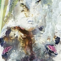 These Arms Are Snakes Tail Swallover And Dove (orange)