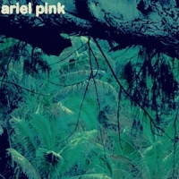 Ariel Pink Odditties Sodomies Vol.3
