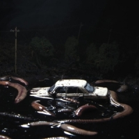 Cold Hart Pretty In The Dark