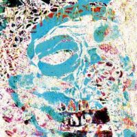 Warpaint Fool (andrew ...) -coloured-