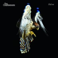 Courteeners Falcon