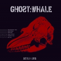 Ghost:whale Echo:one