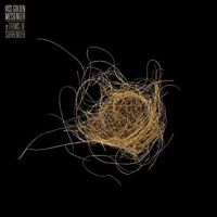 Hiss Golden Messenger Terms Of Surrender