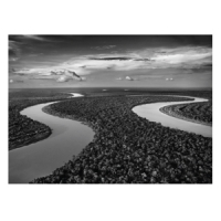 Souza, Luciana And The Wdr Big Band Cologne Storytellers