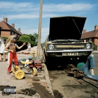 Sam Morton Daffodils & Dirt