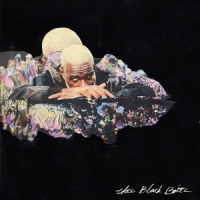 Adebimpe, Tunde Thee Black Boltz