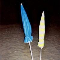 Night Shirts Live From Queimada Grande