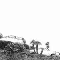 Timber Timbre Hot Dreams