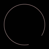 Licht, Alan & Loren Connors Into The Night Sky