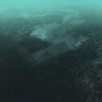 Ps I Love You For Those Who Stay