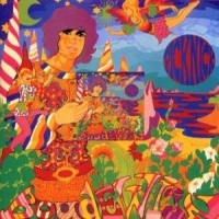 Groot, Boudewijn De Picknick