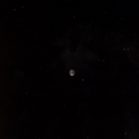 Ribot, Marc / Ceramic Dog Hope