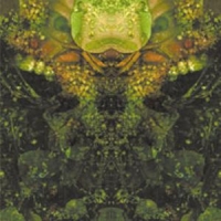 House Of Low Culture Edward S Lament