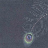 Unwed Sailor Circles