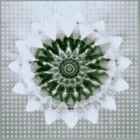 Jon Hassell Vs 808 State Voiceprint