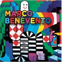 Marco Benevento Between The Needles & Nightfall