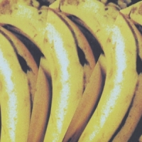 Charlatans Between 10th & 11th