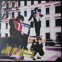 Salamirecorder & The Hi-fi Phonos Goods For Conversation