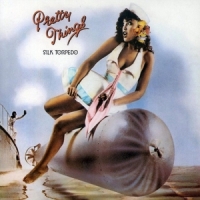 Pretty Things Silk Torpedo