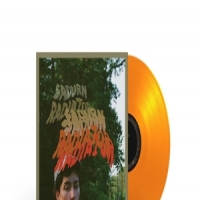 Sadurn Radiator (orange Crush)
