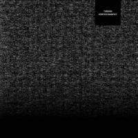 Portico Quartet Terrain -coloured-