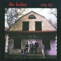 Feelies Only Life
