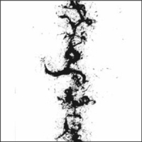 Zorn, John True Discoveries Of Witches & Demons