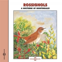 Sons De La Nature Rossignols - A Nocturne Of Nighting