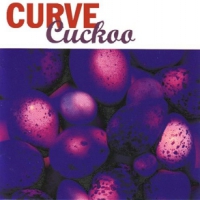 Curve Cuckoo