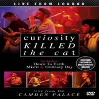 Curiosity Killed The Cat Live From London