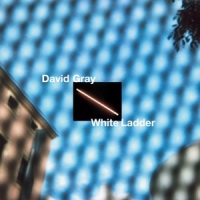 Gray, David White Ladder