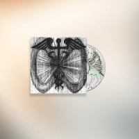 Robber Robber Two Wheels Move The Soul