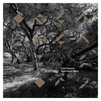 Howard, Luke Open Heart Story