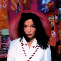 Bjork Post