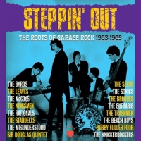 Various Steppin' Out - The Roots Of Garage Rock 1963-1965