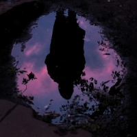 Slow Crush Aurora -coloured-