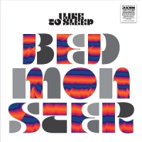 I Like To Sleep Bedmonster (+cd)