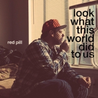 Red Pill Look At What This World Did To Us