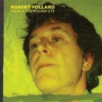 Pollard, Robert From A Compound Eye