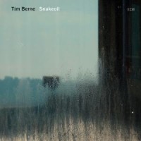 Berne, Tim Snakeoil