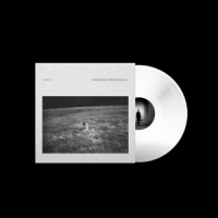 Bruit Apologie Du Temps Perdu