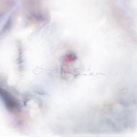 Glixen She Only Said