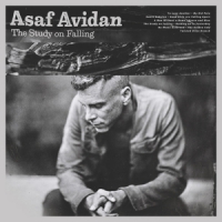 Avidan, Asaf The Study On Falling