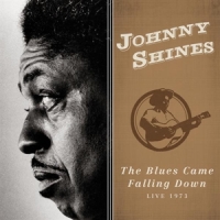 Shines, Johnny Blues Came Falling Down - Live 1973