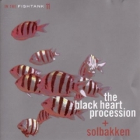 Black Heart Procession & Solbakken In The Fishtank (silver)