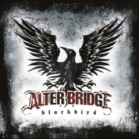 Alter Bridge Blackbird
