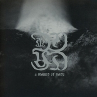 Common Eider, King Eider A Wound Of Earth