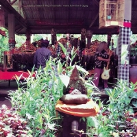 Mickey Guitar & Haga Kazutaka Meets Gamelan & Jegog
