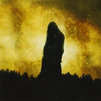 Woods Of Desolation Toward The Depths