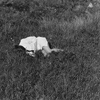 Winder-lind, Nina Wild Love